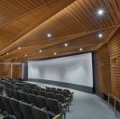 WOODWORKS Channeled Walls- College Football Hall of Fame