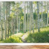 TECTUM CREATE! Custom