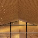 Seamless Transition from Exterior to Interior Ceilings